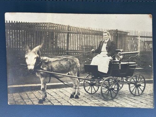 Foto frau eselkutsche - foto,