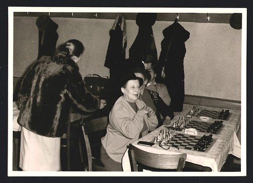 Fotografie maltry - fotografie,
